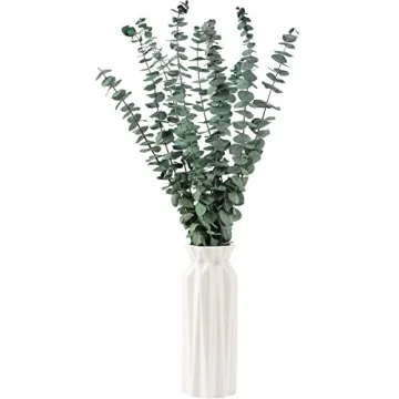 Dried Eucalyptus Stems for Shower and Home Decor