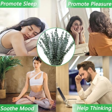 Dried Eucalyptus Stems for Shower and Home Decor