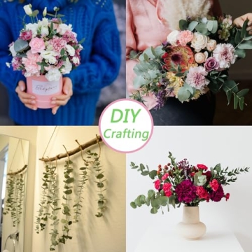 Dried Eucalyptus Stems for Shower and Home Decor