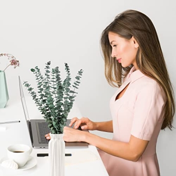 Dried Eucalyptus Stems for Shower and Home Decor