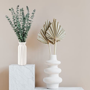 Dried Eucalyptus Stems for Shower and Home Decor