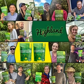 Mycorrhizal Fungi Root Grow for Thriving Plants