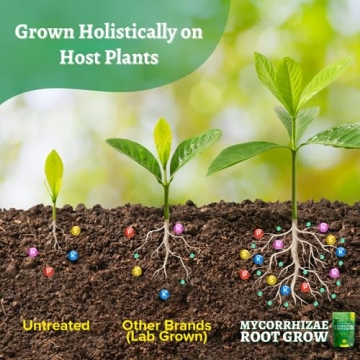Mycorrhizal Fungi Root Grow for Thriving Plants