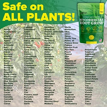 Mycorrhizal Fungi Root Grow for Thriving Plants