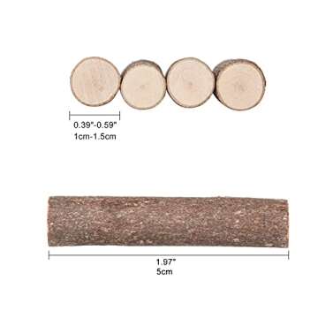 LAZACA Craft Sticks, Wood Sticks Crafting Twigs Crafts Log Toy DIY Vase Fillers Pumpkin Stems Rustic Decorations Ornaments,Loose Parts Play Materials