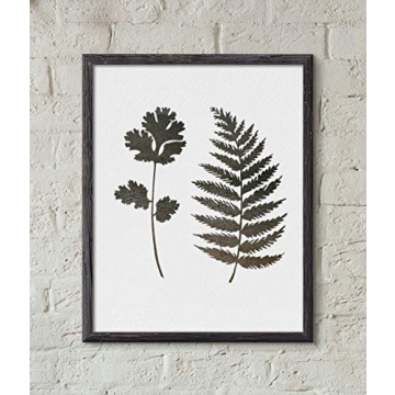 GSS Designs 12x16 Fern Wall Stencil for Home Decor