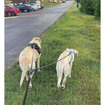 Mycicy No Tangle Double Dog Leash Coupler for Two Dogs