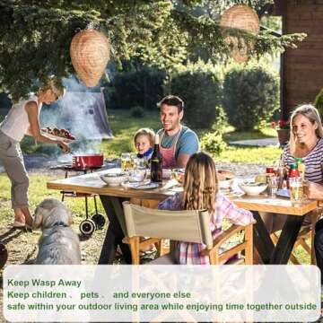 DECYOOL 4 Pack Wasp Nest Decoy Hanging Wasp for Wasps Hornets Yellow Jackets Outdoor Waterproof Material (Dark Brown)