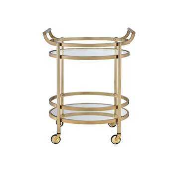 Acme Lakelyn Metal Frame Serving Cart with Bottom Shelf in Glass and Bronze