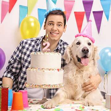 BBTO Number 2 Birthday Candle Pink Birthday Candle Girl with 10 Pieces Pink Candles Long Thin Cupcake Candles in Holders for Cake Topper Birthday Baking Decor Supplies