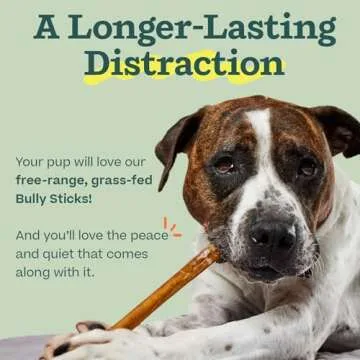 WOOF Bully Sticks Dog Treats - Chew Sticks for Dogs - Long-Lasting Dog Chew Treats - Dog Products Made with Free-Range, Grass-Fed Beef - 6" Sticks - 5pk