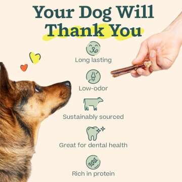 WOOF Bully Sticks Dog Treats - Chew Sticks for Dogs - Long-Lasting Dog Chew Treats - Dog Products Made with Free-Range, Grass-Fed Beef - 6" Sticks - 5pk