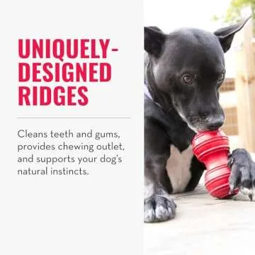 KONG Dental Dog Toy - for Dog Dental Care - Stuffable Chew Toy - Provides Chewing Outlet & Satisfies Instinctual Needs - Cleans Teeth & Gums - Made with Durable Natural Rubber - for Large Dogs
