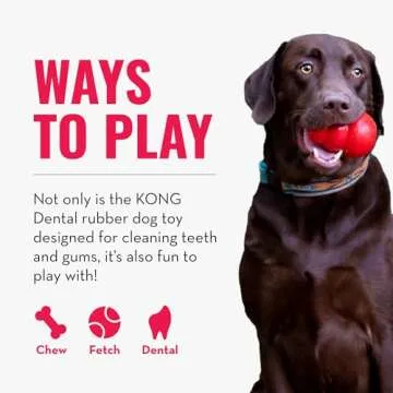 KONG Dental Dog Toy - for Dog Dental Care - Stuffable Chew Toy - Provides Chewing Outlet & Satisfies Instinctual Needs - Cleans Teeth & Gums - Made with Durable Natural Rubber - for Large Dogs