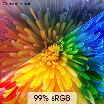 Sceptre 32-inch IPS 4K UHD Monitor with Built-in Speakers