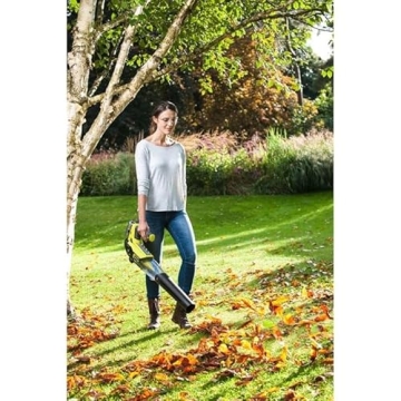 Ryobi OBL18JB Blower Turbine Jet 18V Kit - Lightweight Power