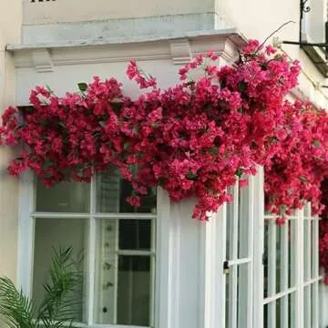 Artificial Flowers Silk Bougainvillea Branches Faux Artificial Bougainvillea Floral Stems Long Plant Branches 45" for Wedding Centerpieces, Table Runner, Home Decoration (Hot Pink - Pack of 4pcs)