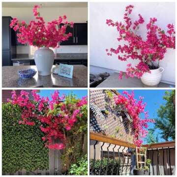 Artificial Flowers Silk Bougainvillea Branches Faux Artificial Bougainvillea Floral Stems Long Plant Branches 45" for Wedding Centerpieces, Table Runner, Home Decoration (Hot Pink - Pack of 4pcs)