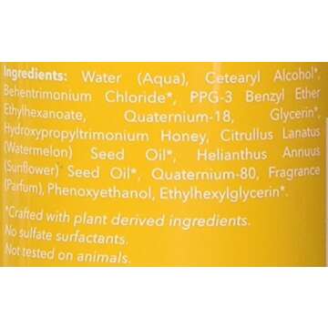 Not Your Mothers Leave in Conditioner Royal Kalahari Melon, Honey, 8 Fl Oz