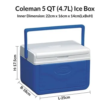 Coleman FlipLid Small Insulated Cooler Holds 6 Cans