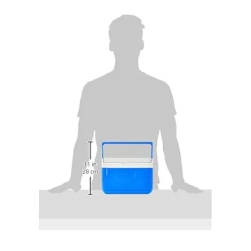 Coleman FlipLid Small Insulated Cooler Holds 6 Cans