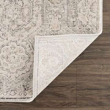 Hauteloom Parkerfield Vintage Area Rug for Living Room