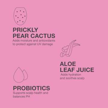 Jeff's Barbershop Jeff x Tana Dry Shampoo, Dry Shampoo Hair Spray, Jeff Wittek & Tana Mongeau, Clear, 4.1 fl oz