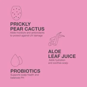 Jeff's Barbershop Jeff x Tana Dry Shampoo, Dry Shampoo Hair Spray, Jeff Wittek & Tana Mongeau, Clear, 4.1 fl oz