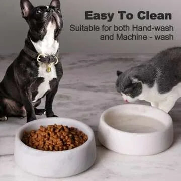 Elegant White Marble Dog Bowl for Medium Pets