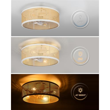 Frstem 20" Rattan Ceiling Fan with Light & Remote Control