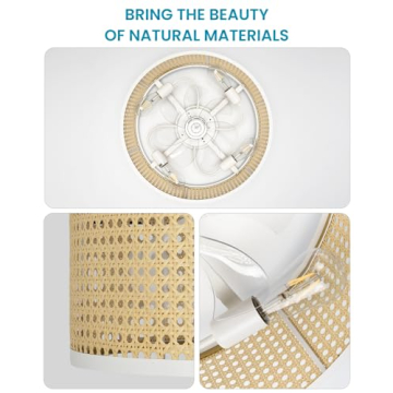 Frstem 20" Rattan Ceiling Fan with Light & Remote Control