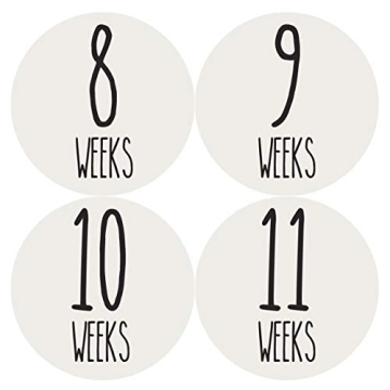 Months In Motion Weekly Pregnancy Growth Stickers | Week to Week Pregnant Expecting Photo Prop | Mat...