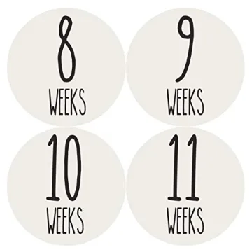 Months In Motion Weekly Pregnancy Growth Stickers | Week to Week Pregnant Expecting Photo Prop | Mat...