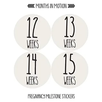 Monthly Pregnancy Growth Stickers for Expecting Moms