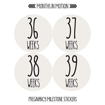 Monthly Pregnancy Growth Stickers for Expecting Moms