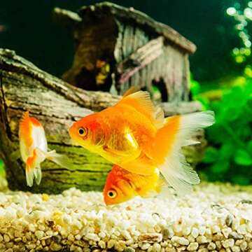 Coarse Golden Sand Stones for Succulents and Terrariums