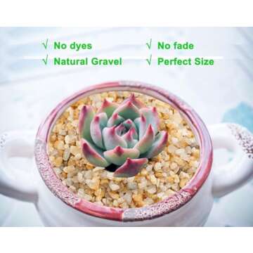 Coarse Golden Sand Stones for Succulents and Terrariums