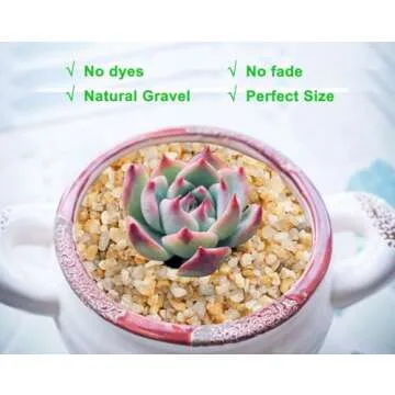 Coarse Golden Sand Stones for Succulents and Terrariums