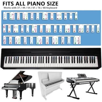 Piano Stickers for Beginners, Azymi Piano Note Stickers Removable for 88/76/61/54/49/37 Keys Reusable Silicone Strips Multi-Color Large Bold Letter for Kids