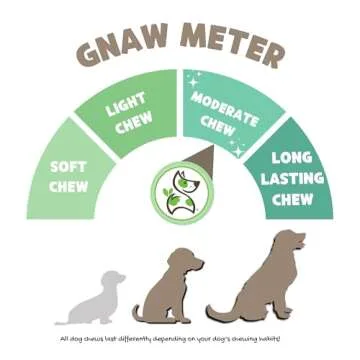 Nature Gnaws Beef Gullet Springs for Dogs - Rawhide Free Chews
