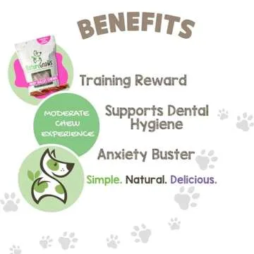 Nature Gnaws Beef Gullet Springs for Dogs - Rawhide Free Chews