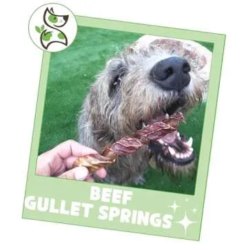 Nature Gnaws Beef Gullet Springs for Dogs - Rawhide Free Chews