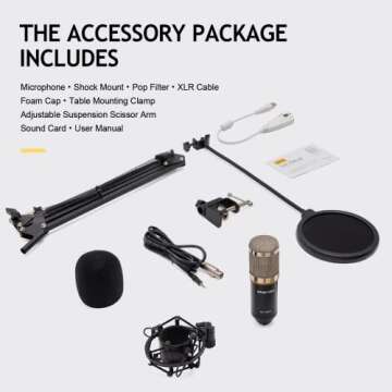 ZINGYOU Condenser Microphone Bundle, BM-800 Mic Kit with Adjustable Mic Suspension Scissor Arm, Shock Mount and Double-Layer Pop Filter for Studio Recording & Brocasting (BM-800 Microphone Bundle)