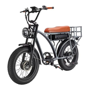 Lanshanchu 2000W Dual Motor Electric Cargo Bike - All-Terrain E-Bike