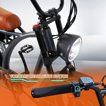 Lanshanchu 2000W Dual Motor All-Terrain Electric Cargo Bike