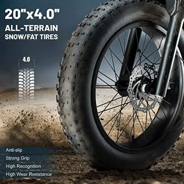 Lanshanchu 2000W Dual Motor All-Terrain Electric Cargo Bike