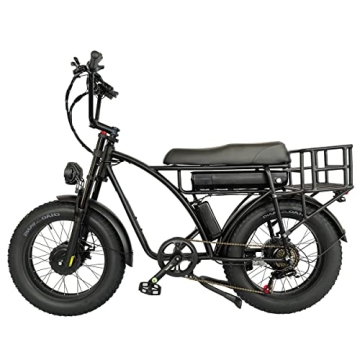 Lanshanchu 2000W Dual Motor All-Terrain Electric Cargo Bike