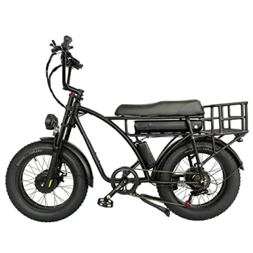 Lanshanchu 2000W Dual Motor All-Terrain Electric Cargo Bike