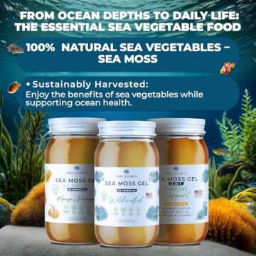 TrueSeaMoss Wildcrafted Irish Sea Moss Gel - Seamoss, Gut Health & Antioxidant Supports - Made in USA (MANGO/PINEAPPLE, Pack of 1)