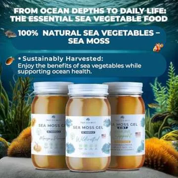 TrueSeaMoss Wildcrafted Irish Sea Moss Gel - Seamoss, Gut Health & Antioxidant Supports - Made in USA (MANGO/PINEAPPLE, Pack of 1)